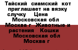 Тайский (сиамский) кот приглашает на вязку/случку  › Цена ­ 3 000 - Московская обл., Москва г. Животные и растения » Кошки   . Московская обл.,Москва г.